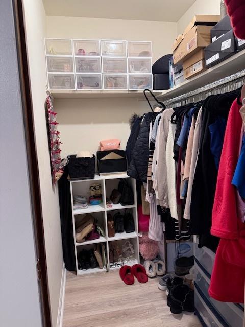 spacious closet with wood-type flooring