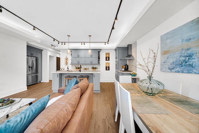 living room featuring light wood-type flooring, rail lighting, and baseboards