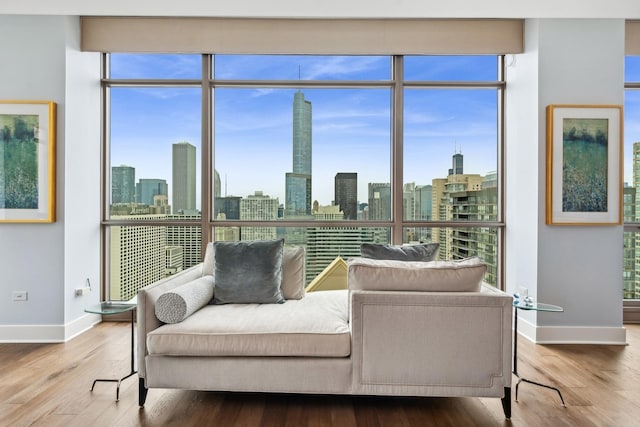 interior space with hardwood / wood-style floors and plenty of natural light