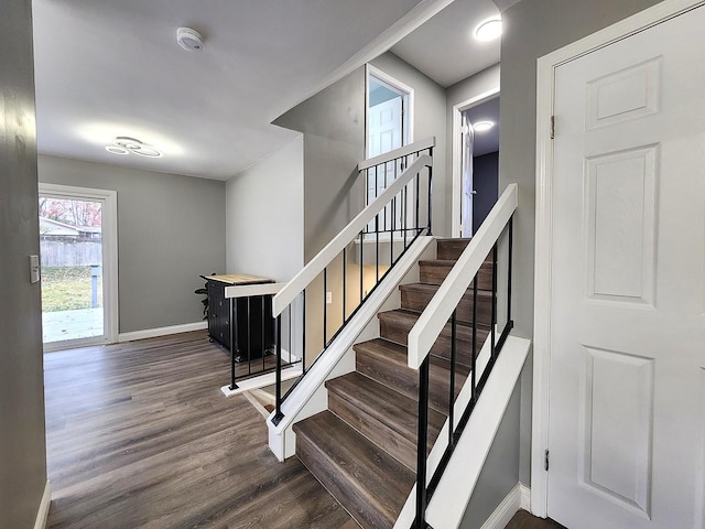 stairway with hardwood / wood-style floors