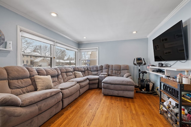 living room with light hardwood / wood-style floors and ornamental molding