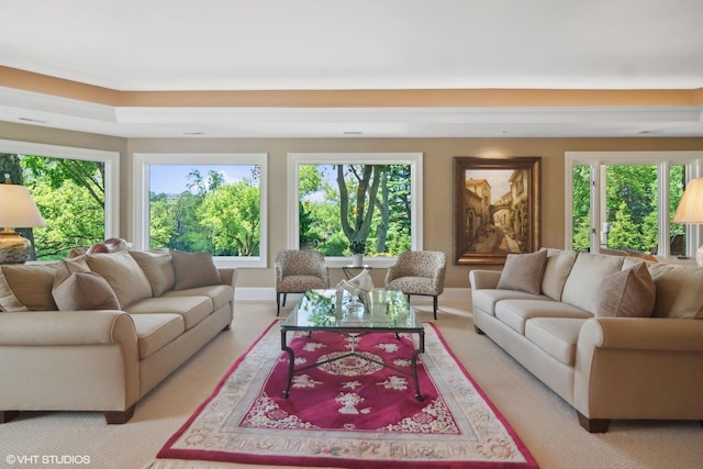 carpeted living room featuring a tray ceiling