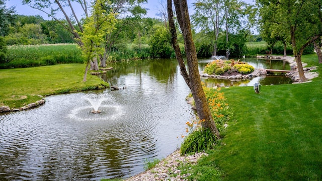 view of water feature