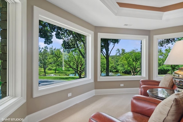 sunroom / solarium featuring a tray ceiling