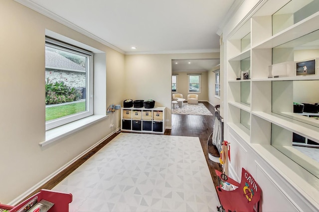 interior space featuring wood-type flooring, ornamental molding, and a wealth of natural light