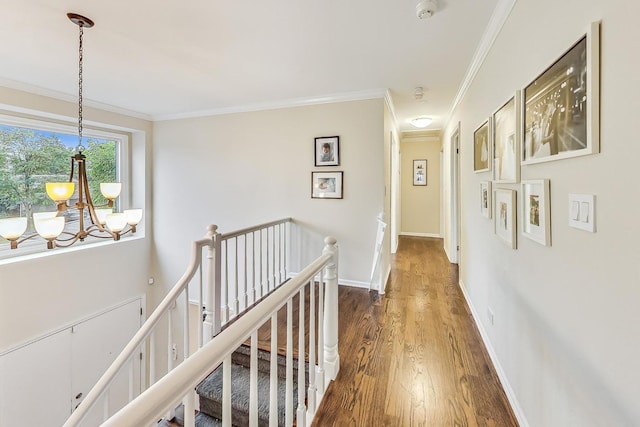 hallway featuring dark wood-type flooring, an inviting chandelier, and crown molding