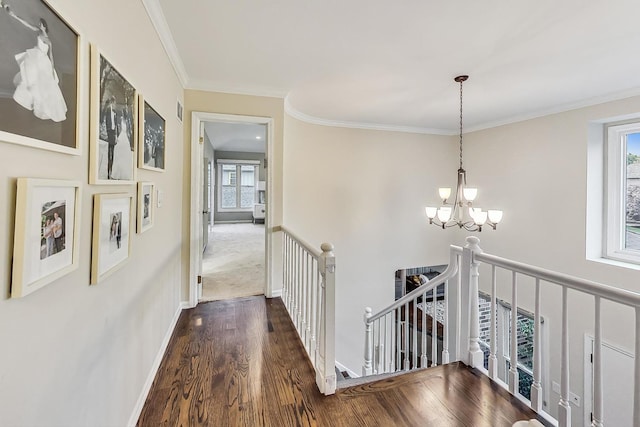 hallway featuring dark wood-type flooring, crown molding, and an inviting chandelier