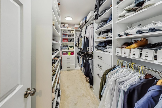 walk in closet with light colored carpet