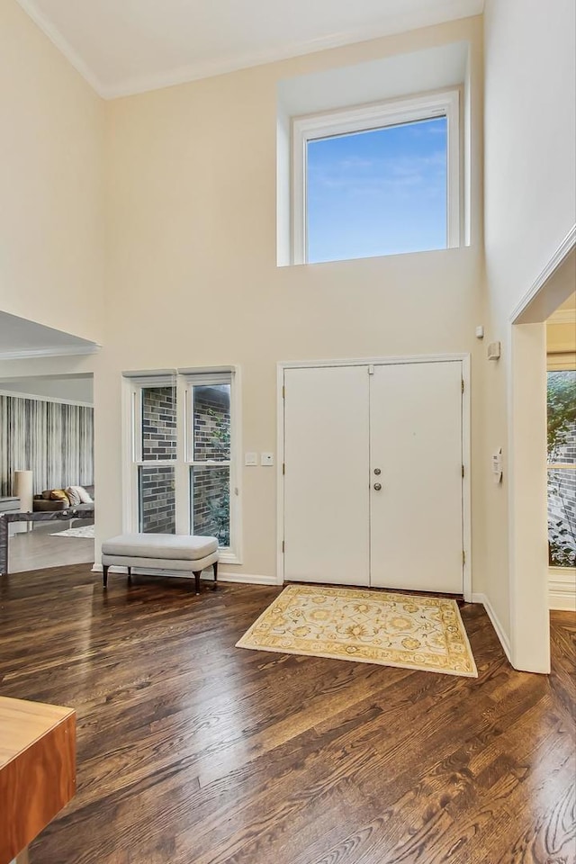 foyer featuring dark hardwood / wood-style flooring and a towering ceiling