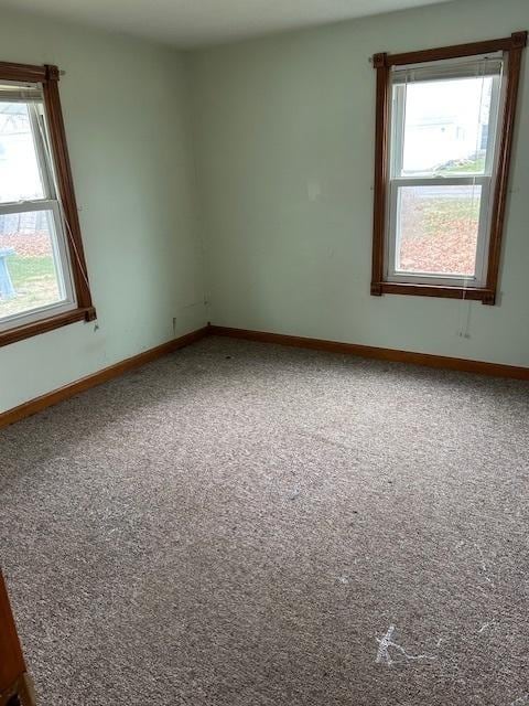 spare room with carpet