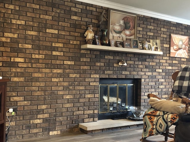 room details featuring crown molding and a fireplace