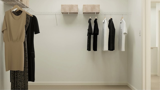 view of spacious closet