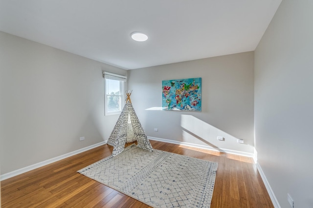 playroom with wood-type flooring