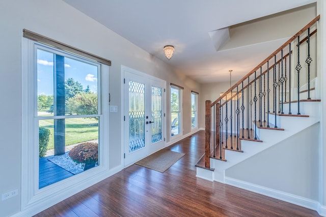 foyer entrance with dark hardwood / wood-style floors, a healthy amount of sunlight, and french doors