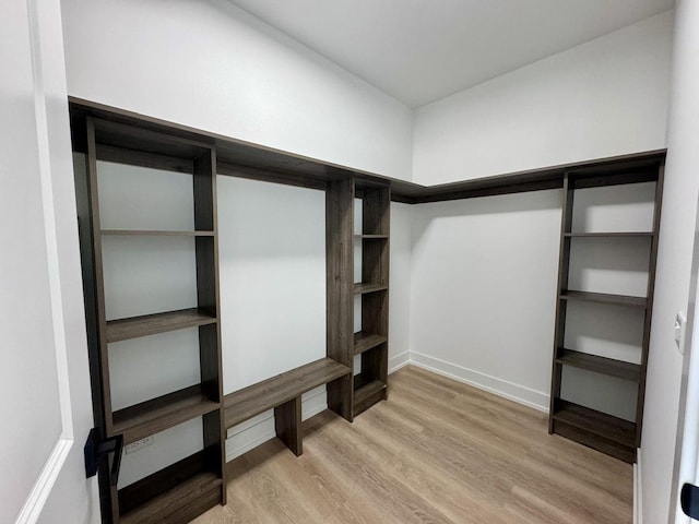 spacious closet featuring light hardwood / wood-style flooring