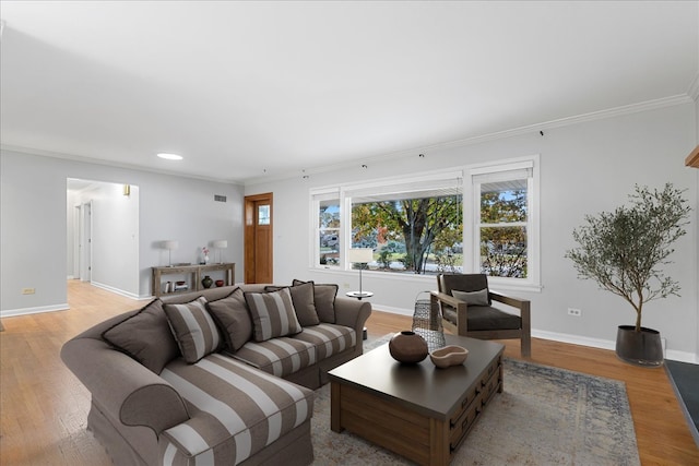 living room featuring light hardwood / wood-style floors and crown molding