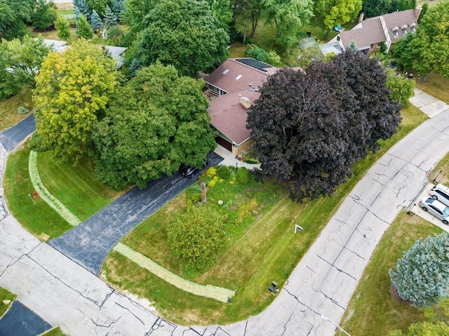 aerial view