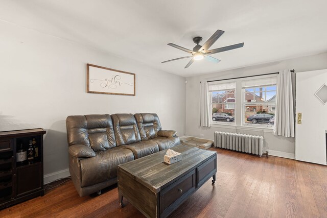 living room featuring radiator heating unit, dark hardwood / wood-style floors, and ceiling fan