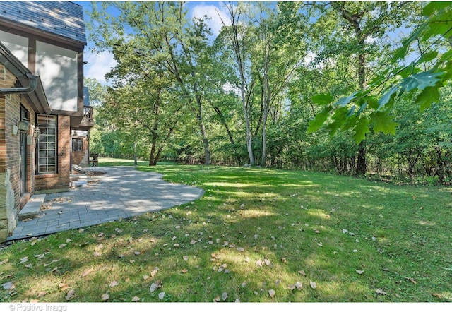 view of yard with a patio area