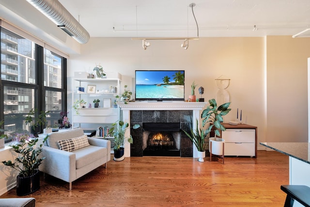 living room featuring wood-type flooring and a tiled fireplace