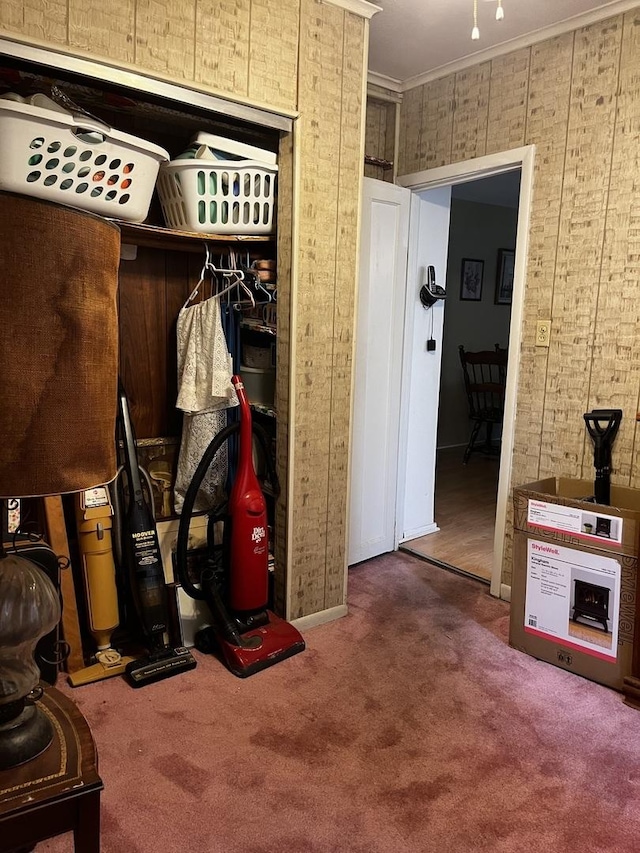 mudroom featuring crown molding and dark colored carpet