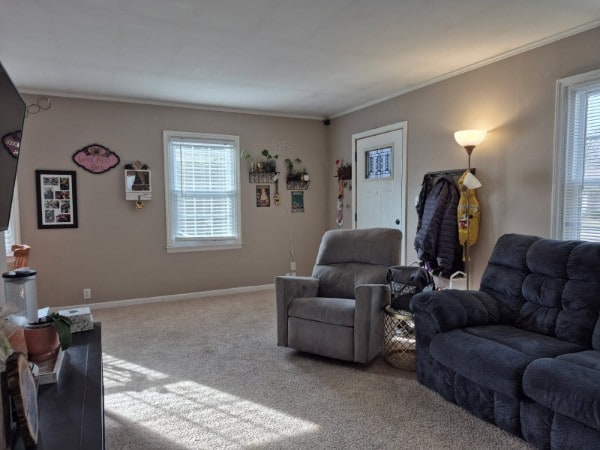 carpeted living room with crown molding and a healthy amount of sunlight