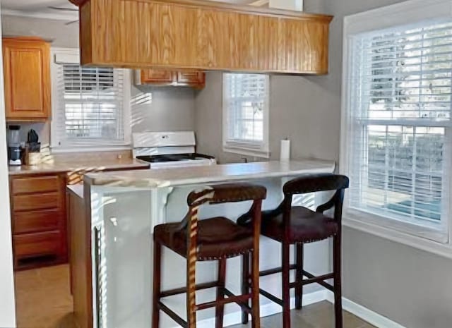 kitchen with range, a kitchen breakfast bar, and kitchen peninsula