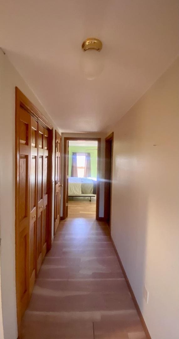 hallway featuring hardwood / wood-style flooring