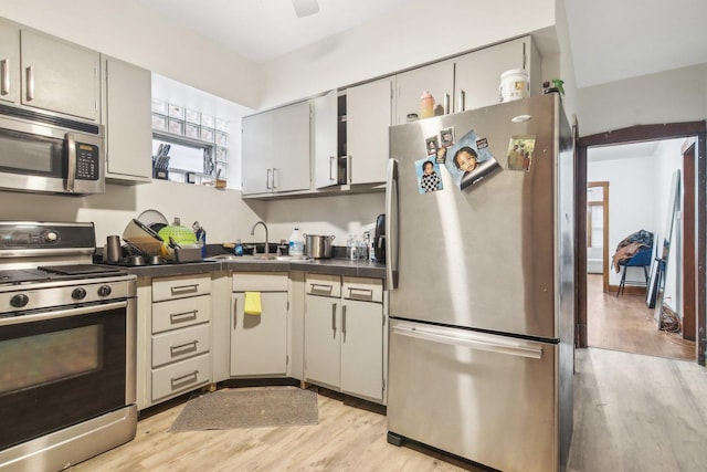 kitchen featuring sink, light hardwood / wood-style floors, and appliances with stainless steel finishes