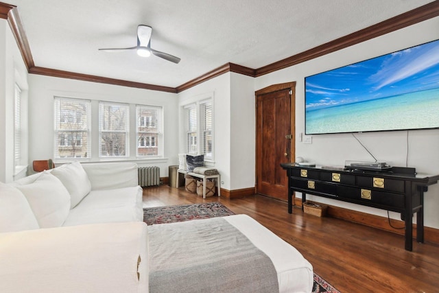 living room featuring ceiling fan, radiator heating unit, dark hardwood / wood-style flooring, a textured ceiling, and ornamental molding