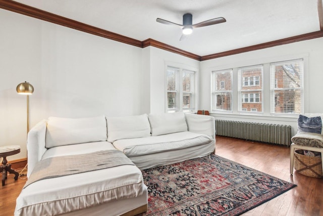 living room with hardwood / wood-style floors, ceiling fan, ornamental molding, and radiator