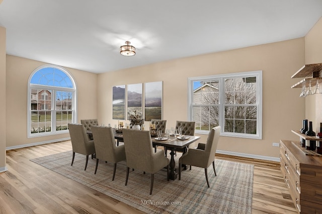 dining room with light hardwood / wood-style flooring