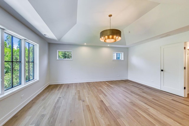 spare room featuring a raised ceiling, light hardwood / wood-style flooring, and a healthy amount of sunlight