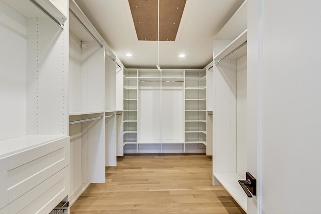 spacious closet featuring light hardwood / wood-style floors