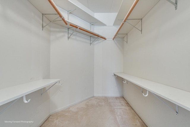 spacious closet featuring light carpet