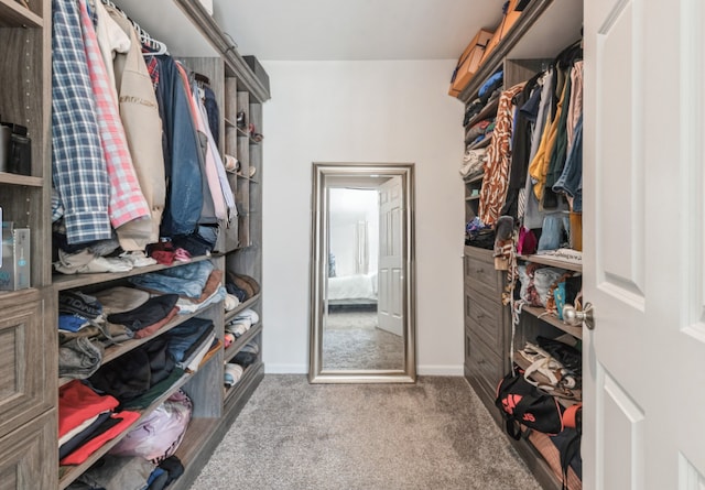 walk in closet featuring carpet flooring