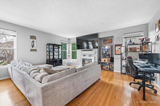 living room featuring hardwood / wood-style flooring