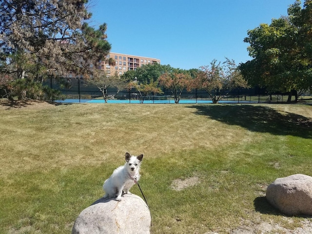 view of property's community with tennis court and a lawn