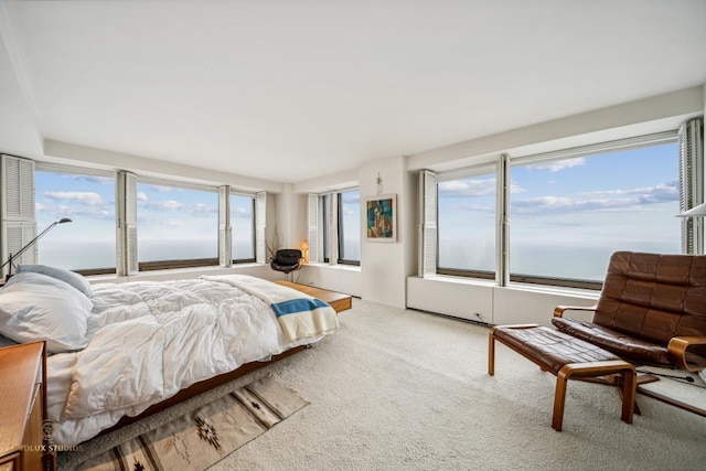 carpeted bedroom featuring a water view