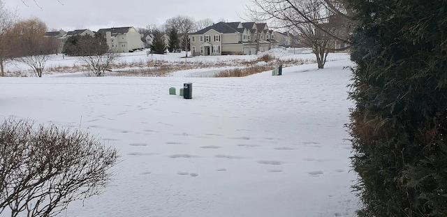 view of yard covered in snow