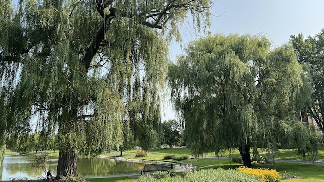 view of community with a lawn and a water view