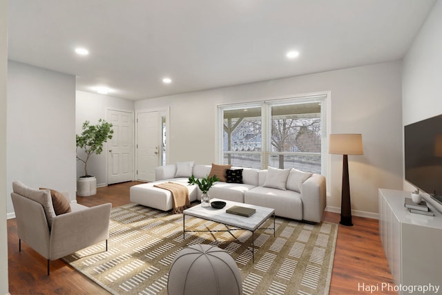 living room featuring hardwood / wood-style flooring