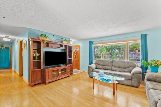 living room with a textured ceiling and hardwood / wood-style flooring