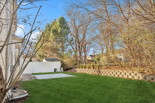 view of yard with a patio