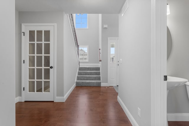 foyer entrance with sink and dark wood-type flooring