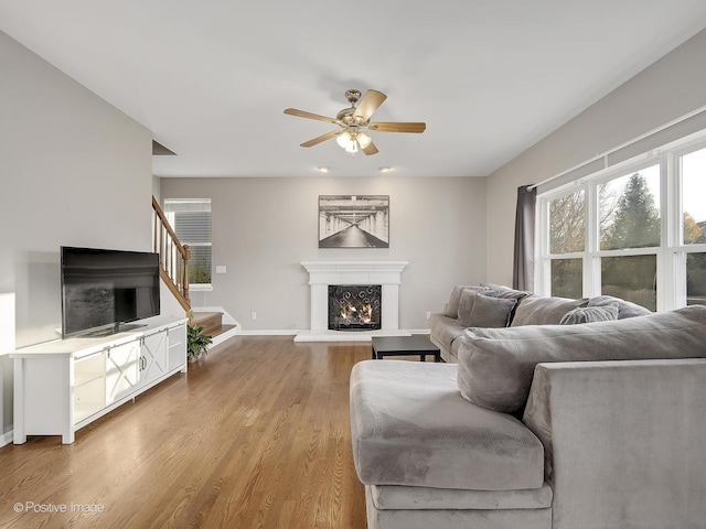 living room with ceiling fan and light hardwood / wood-style flooring