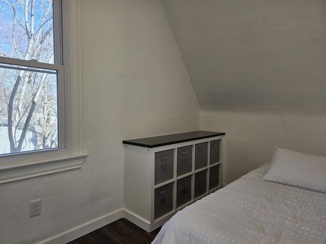 bedroom with dark hardwood / wood-style flooring