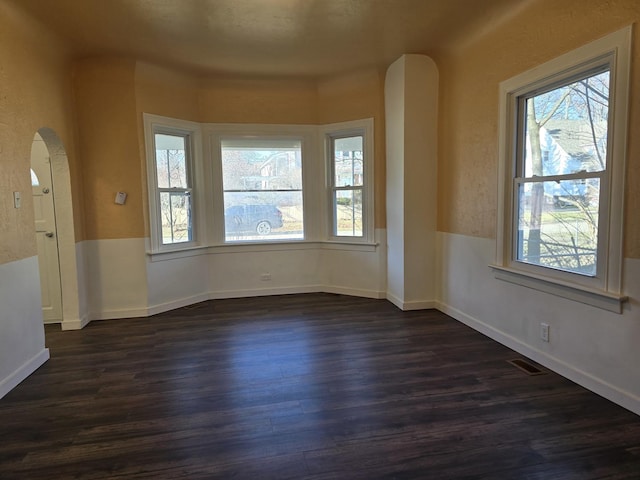 spare room featuring plenty of natural light and dark wood-type flooring