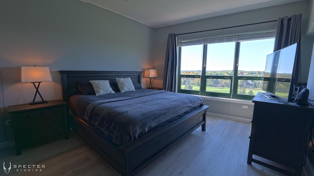 bedroom with light hardwood / wood-style floors