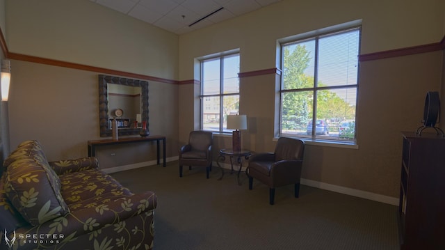 sitting room featuring carpet flooring, a drop ceiling, and a wealth of natural light